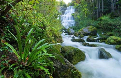 Chez Lily et Bruno - Foto 26