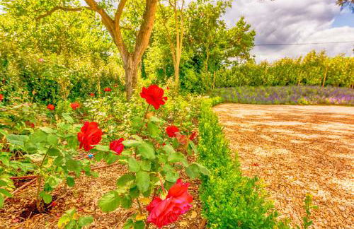 Whitley Coach House - Foto 21