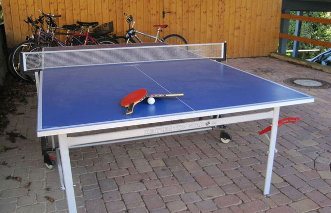 House Schwarzwaldblick Ettenheim - Foto 11