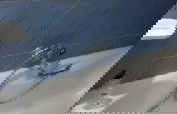 2km From the Beach in Dar Allouche, Kélibia, Nabeul - Foto 9