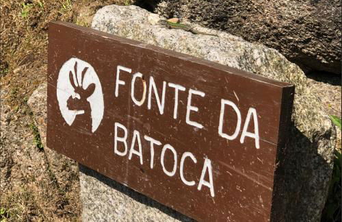 Refúgio do Vidoeiro - Foto 11