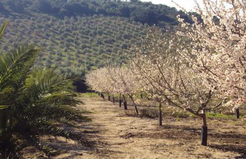 Cosy house in Estepa with mountain view - Photo 33