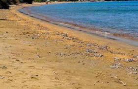 Villa Nostos - Foto 32