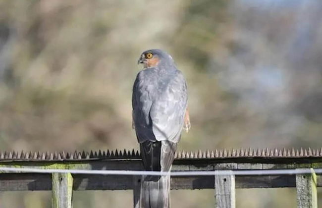 Peaceful Cabin in Skegby -sleeps2- Firer Pit - Foto 18