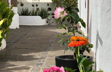 Finca Exclusiv LA MAreta - Foto 36