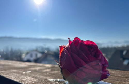 Wohnen & Bergblick - Foto 38