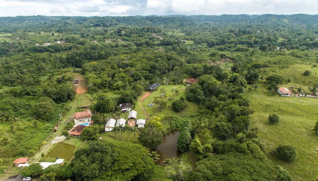 Day Trip to a Cocoa Farm - Photo 4