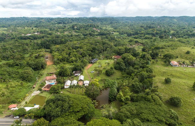 Day Trip to a Cocoa Farm - Photo 4