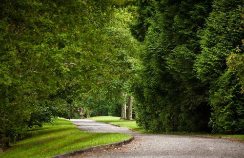 Clos Mirabel Manor - Holiday rental - Foto 64