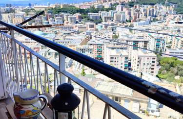 Donny Dude Panorama - Foto 22