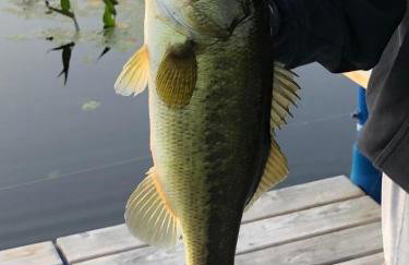 Loon Landing in Lake Tomahawk WI - Photo 36