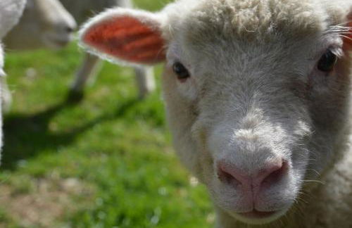 The Retreat - Foto 23