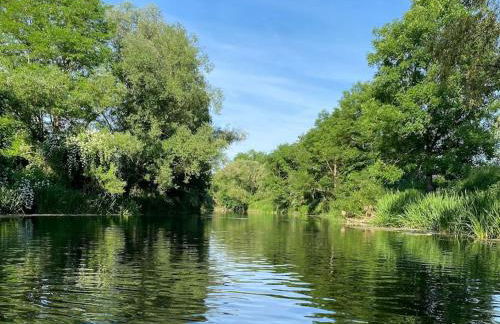 FERIENWOHNUNG ALL YOU NIED mit NIEDBLICK und TERRASSE - Foto 19