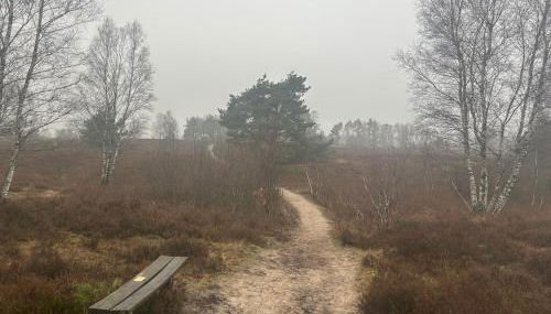 Ferienwohnungen Liedtke - Foto 4