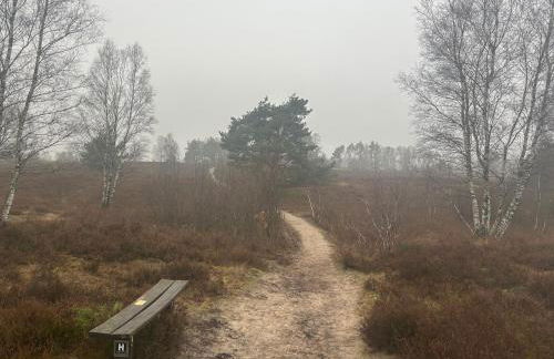 Ferienwohnungen Liedtke - Foto 4