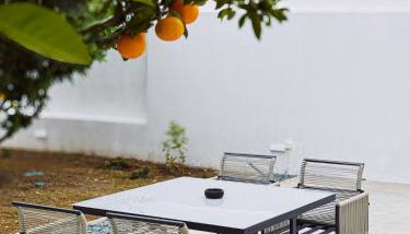 Arion Aegli - Foto 3