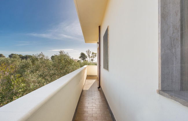 Residence Ulivo D'Oro - Foto 47