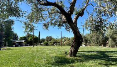 Agriturismo La Quercia - Wine&Pool - Foto 4, Garden