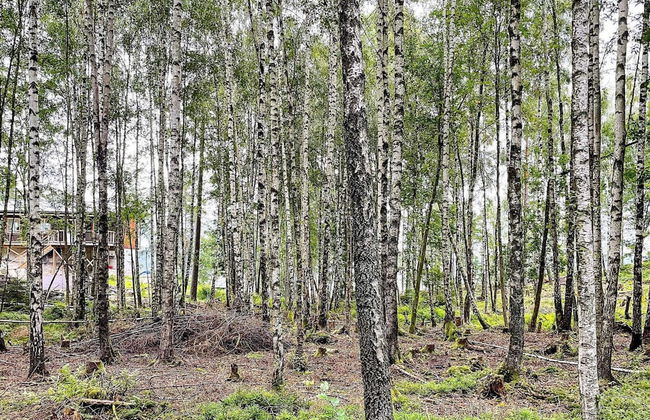 4 Star Holiday Home in Ljungskile - Photo 6