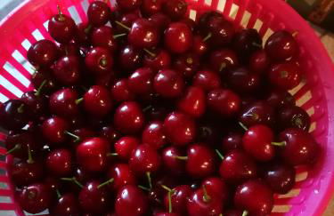 Corte Ventaglio - Foto 30