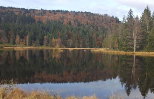 Gîte élégant en pleine nature avec terrasse, départ randonnées, parking privé et équipements inclus - FR-1-589-384 - Foto 16