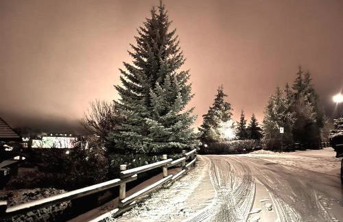 Perla delle Alpi - Photo 29