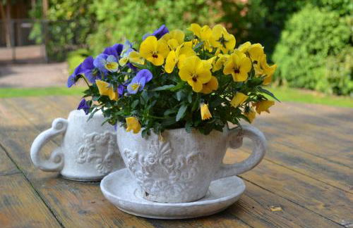 Ferienwohnung Zinne-Wigger - Foto 17