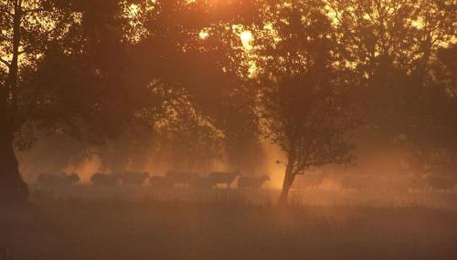 Stunning cottage nestled under the Longmynd Hills. - Foto 3