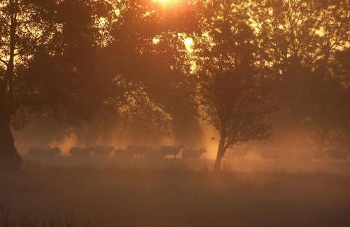 Stunning cottage nestled under the Longmynd Hills. - Foto 3