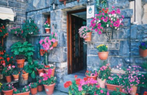 Casa Herrero - Photo 6