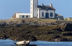 Les jardins de Beg Meil - Foto 35