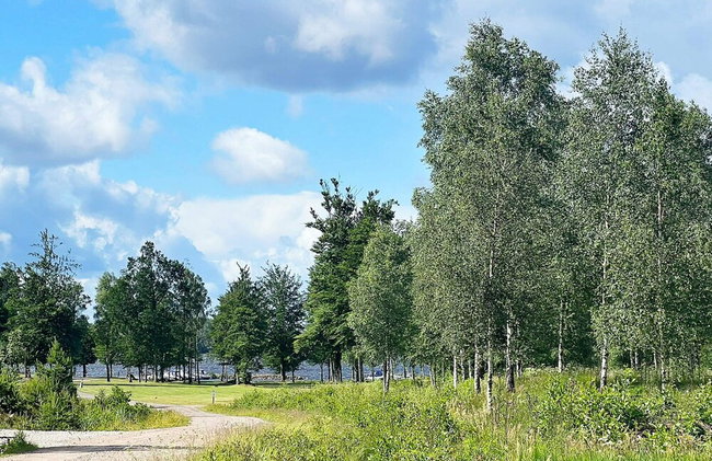 4 Star Holiday Home in Ljungby - Foto 30