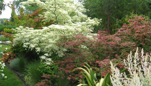 Gites du ROHERAN - Foto 5, Garden view