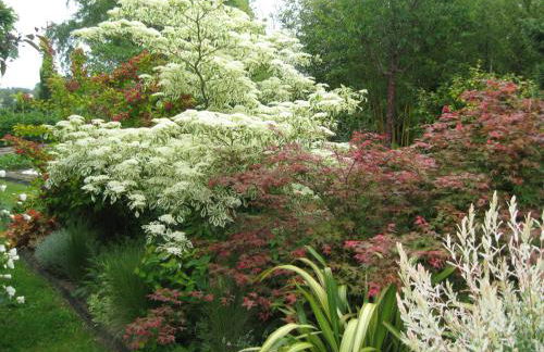 Gites du ROHERAN - Photo 5