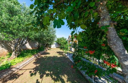 Amazing Home In Zaton Obrovacki - Foto 19