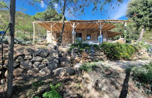 Casa nel Bosco, un oasi di pace - Foto 6