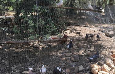 Casas Rurales La Loma Del Carrascal - Foto 44