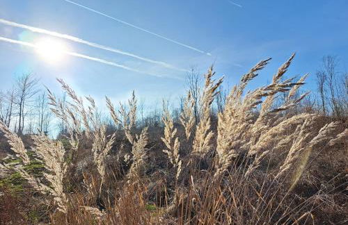 Steewer Landhaus gemütliche Ferienwohnung bis 6 Pers in ruhiger Ortsrandlage - Foto 66