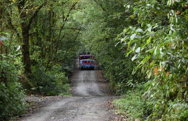 Otún Quimbaya Sanctuary Hike - Photo 9