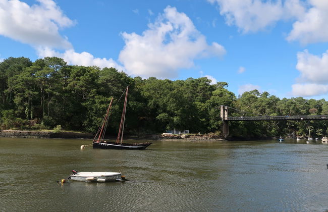 Ar Mimoza - Photo 25