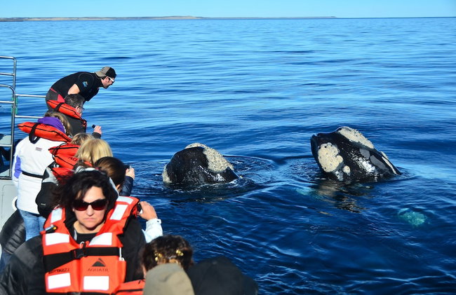 Ramada Residences by Wyndham Puerto Madryn CQ Mitre - Photo 55