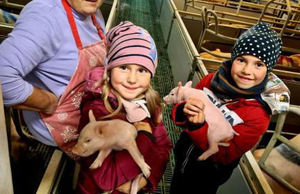 Ferienwohnung Scherr - Foto 21