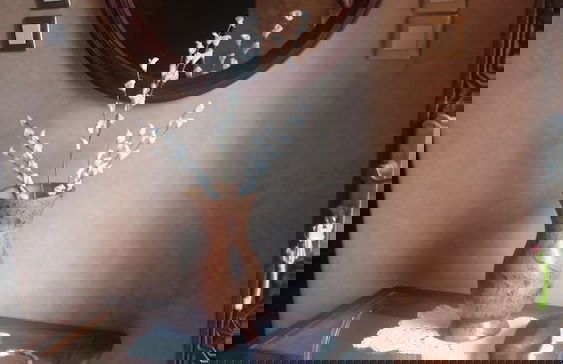 Villa samira - Photo 15