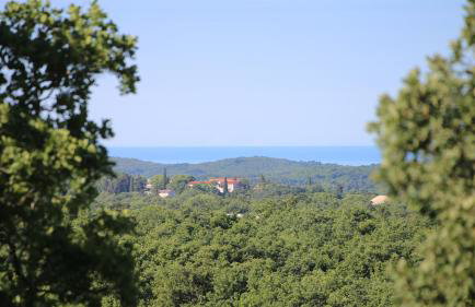 Casa Conte Istria - Photo 44