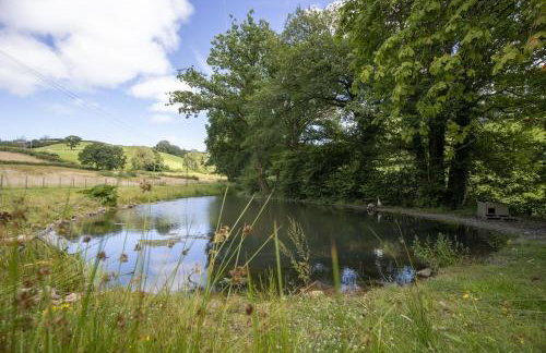 Cartws at Pentrecelyn - styilish barn conversion with large kitchen and outdoor space - Foto 11