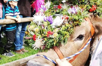 Ferienwohnung Alpenherz - Photo 30