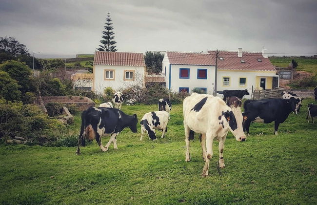 Casa do Pequeno Dragoeiro - Photo 52