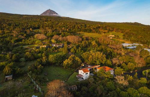 Quinta das Almas - Photo 33