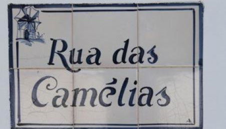 Casa de Seixe - Photo 3