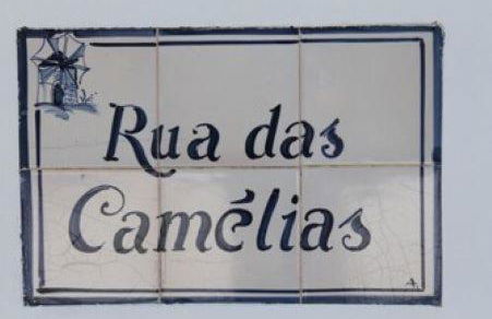 Casa de Seixe - Photo 3